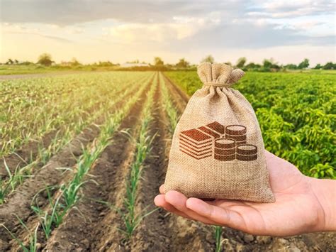 Regras Imposto de Renda Rural 2024: Guia Definitivo para Não Errar